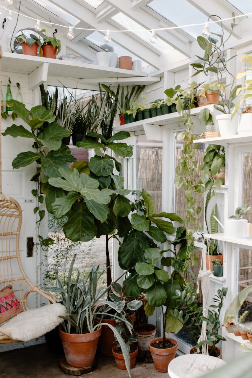 10 ideas en maceteros y plantas de interior para decorar por muy poco